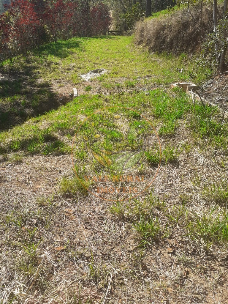 Fazenda, 2 hectares - Foto 5