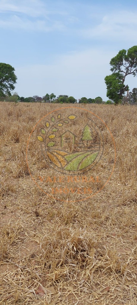 Fazenda à venda com 1 quarto, 12000m² - Foto 7