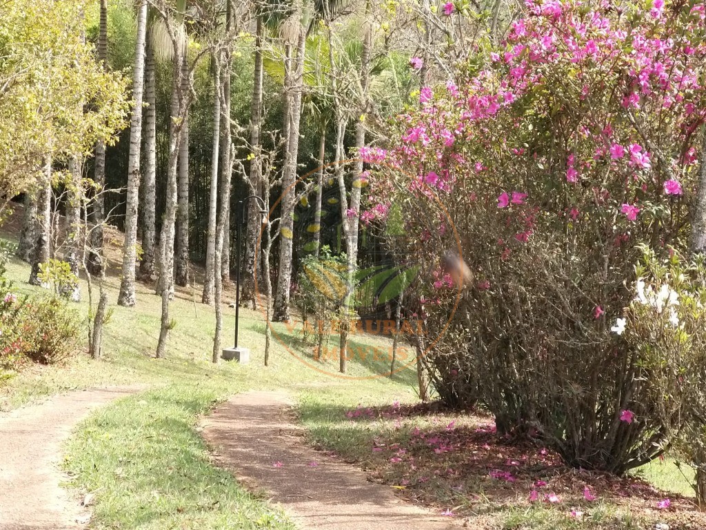 Chácara à venda com 3 quartos, 10000m² - Foto 35