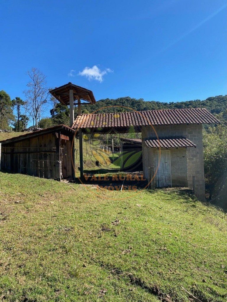 Haras e Área Rural Padrão à venda, 46000m² - Foto 9