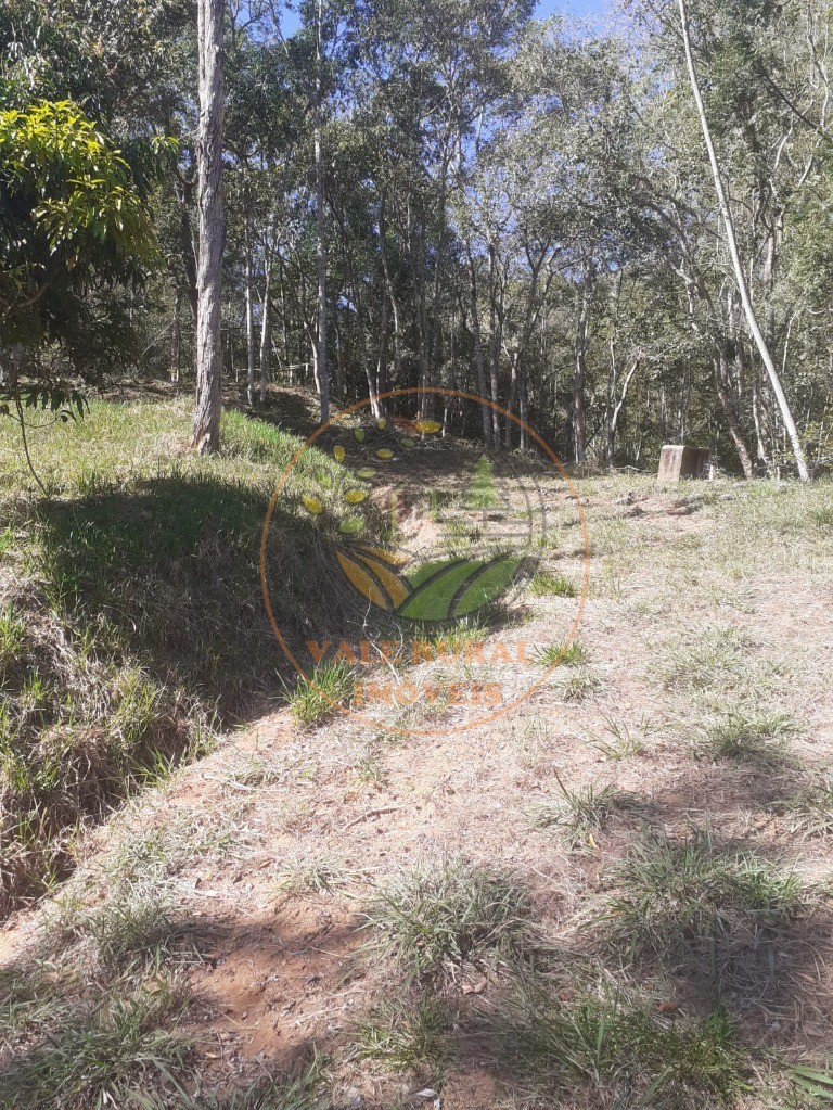 Fazenda, 2 hectares - Foto 6