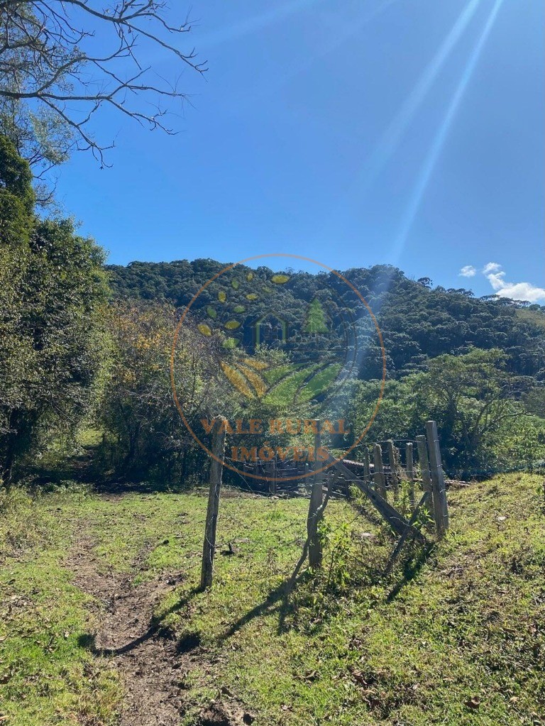 Haras e Área Rural Padrão à venda, 46000m² - Foto 15