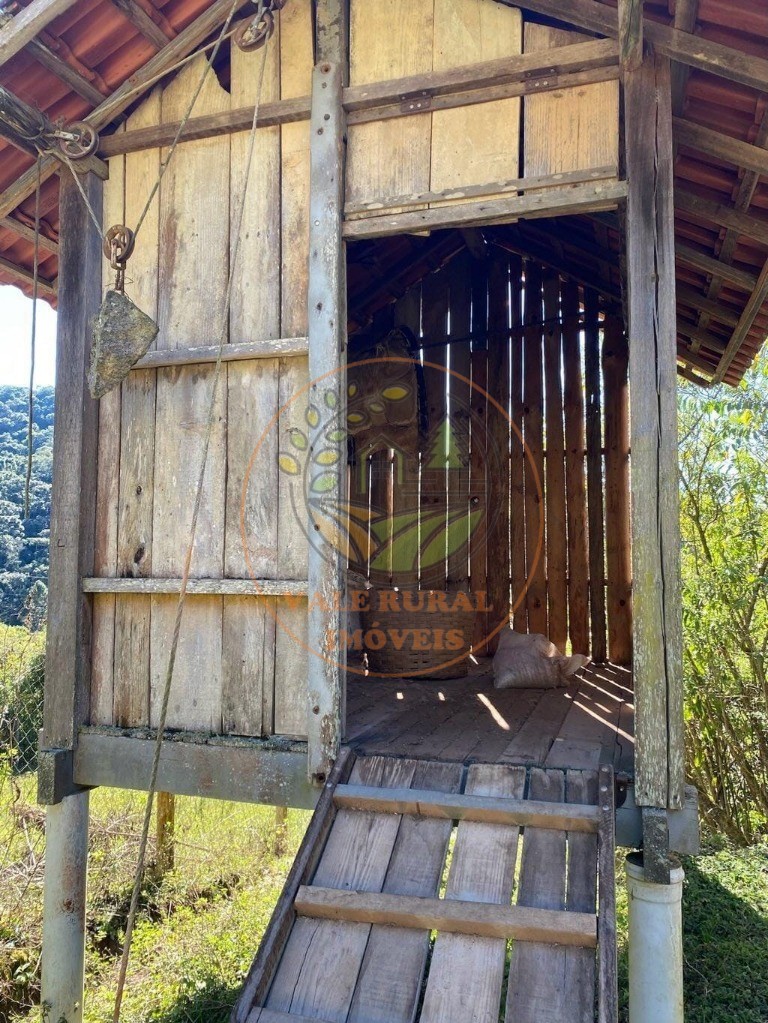 Haras e Área Rural Padrão à venda, 46000m² - Foto 12