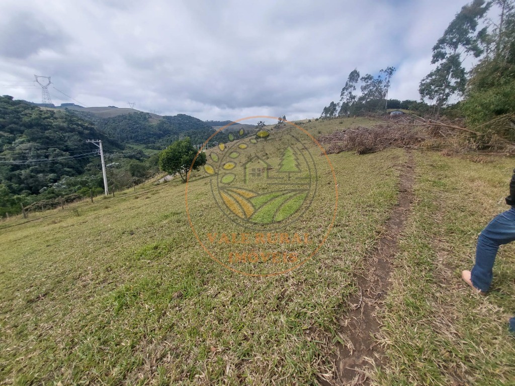 Haras e Área Rural Padrão à venda, 5m² - Foto 32