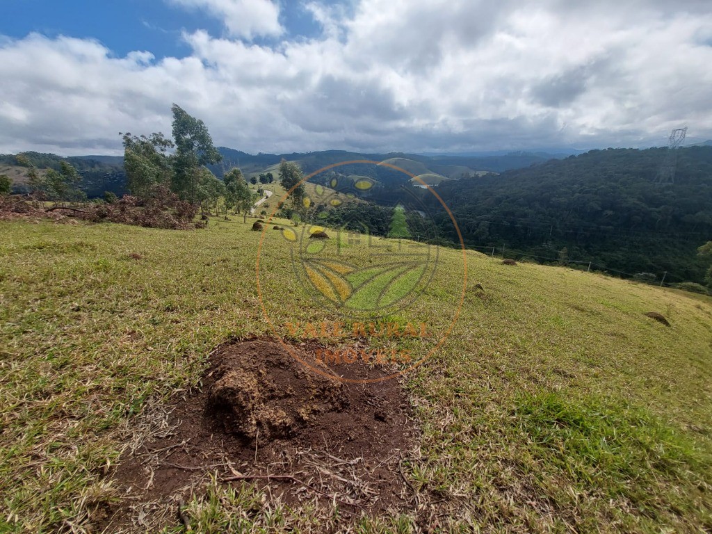 Haras e Área Rural Padrão à venda, 5m² - Foto 28