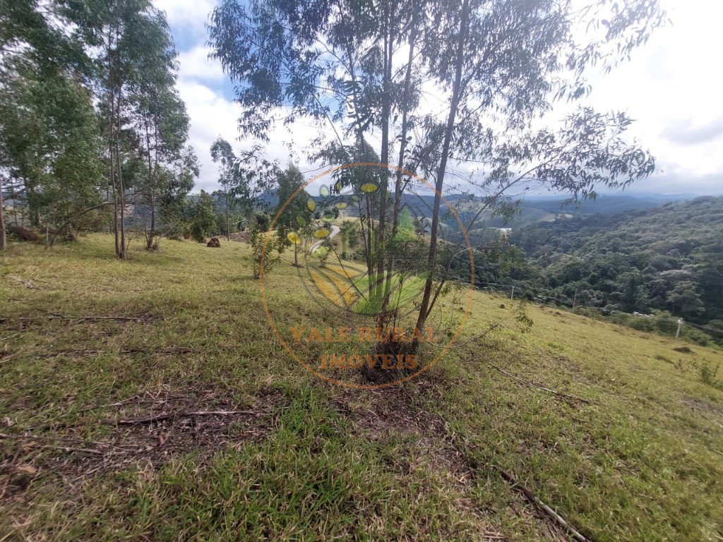 Haras e Área Rural Padrão à venda, 5m² - Foto 11