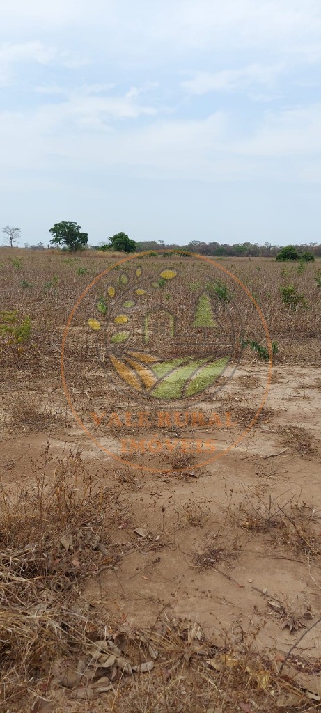 Fazenda à venda com 1 quarto, 12000m² - Foto 13