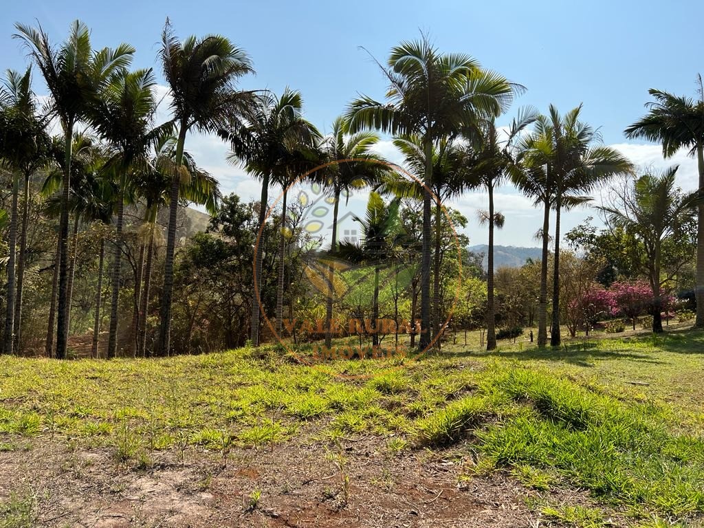 Chácara à venda com 3 quartos, 10000m² - Foto 16