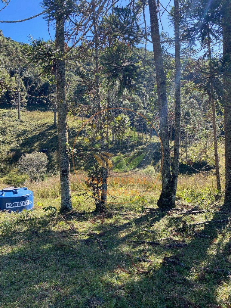 Haras e Área Rural Padrão à venda, 46000m² - Foto 19