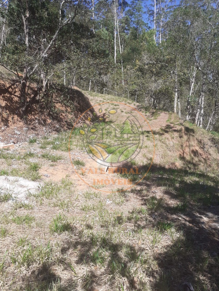 Fazenda, 2 hectares - Foto 3