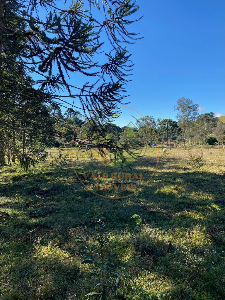 Haras e Área Rural Padrão à venda, 46000m² - Foto 20