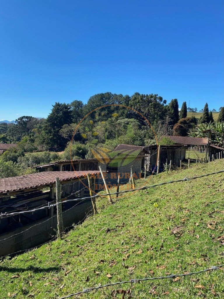 Haras e Área Rural Padrão à venda, 46000m² - Foto 16