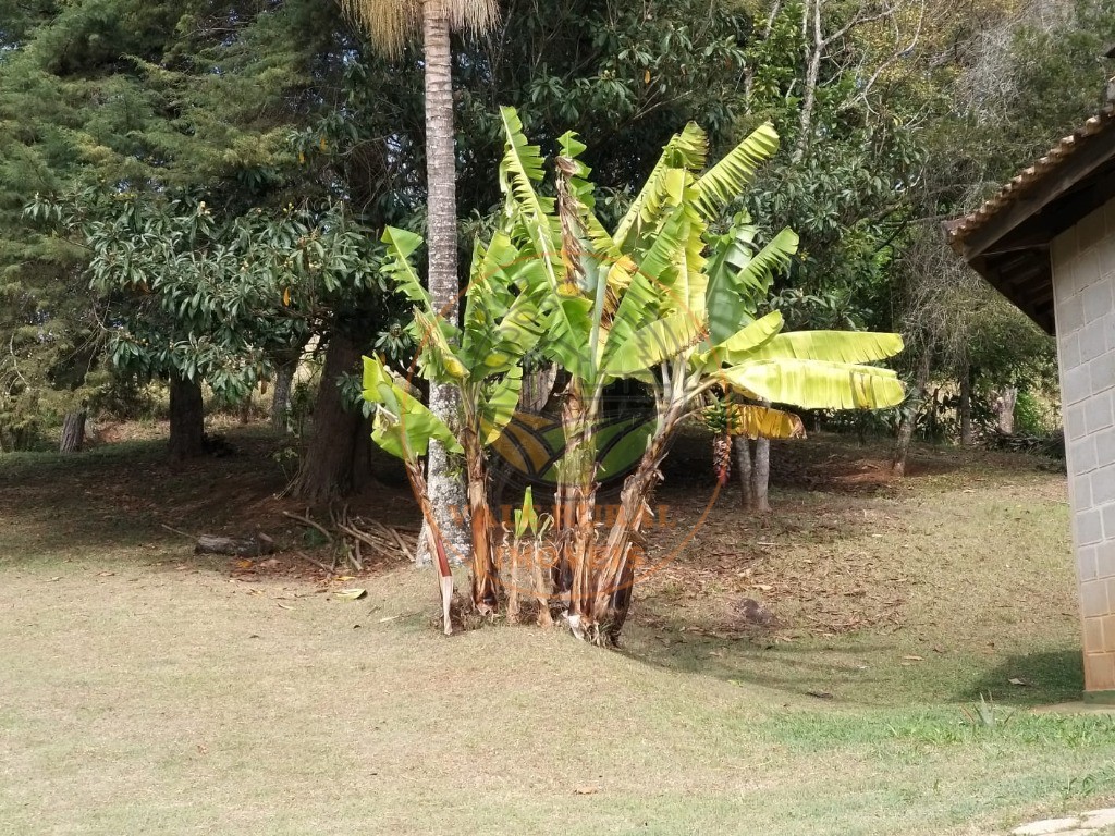 Chácara à venda com 3 quartos, 10000m² - Foto 31