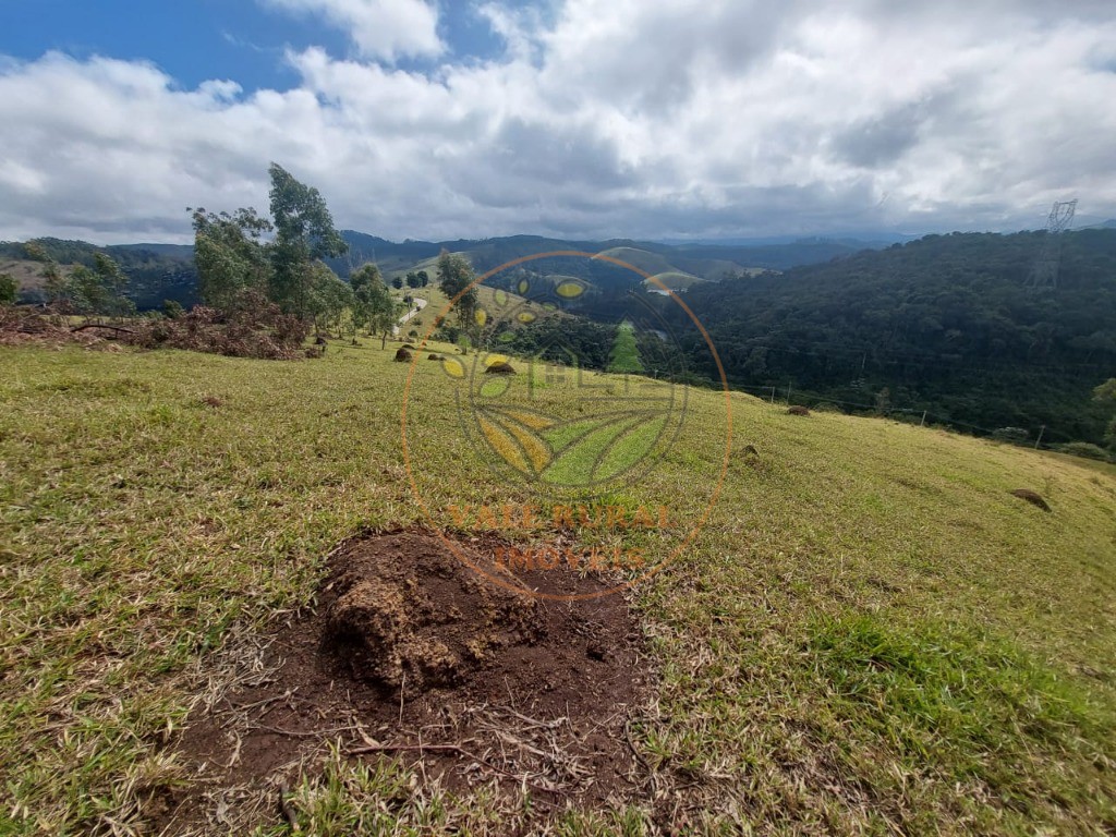 Haras e Área Rural Padrão à venda, 5m² - Foto 8