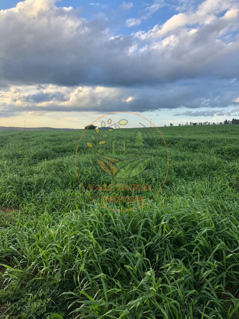 Fazenda à venda com 20 quartos, 1172m² - Foto 10