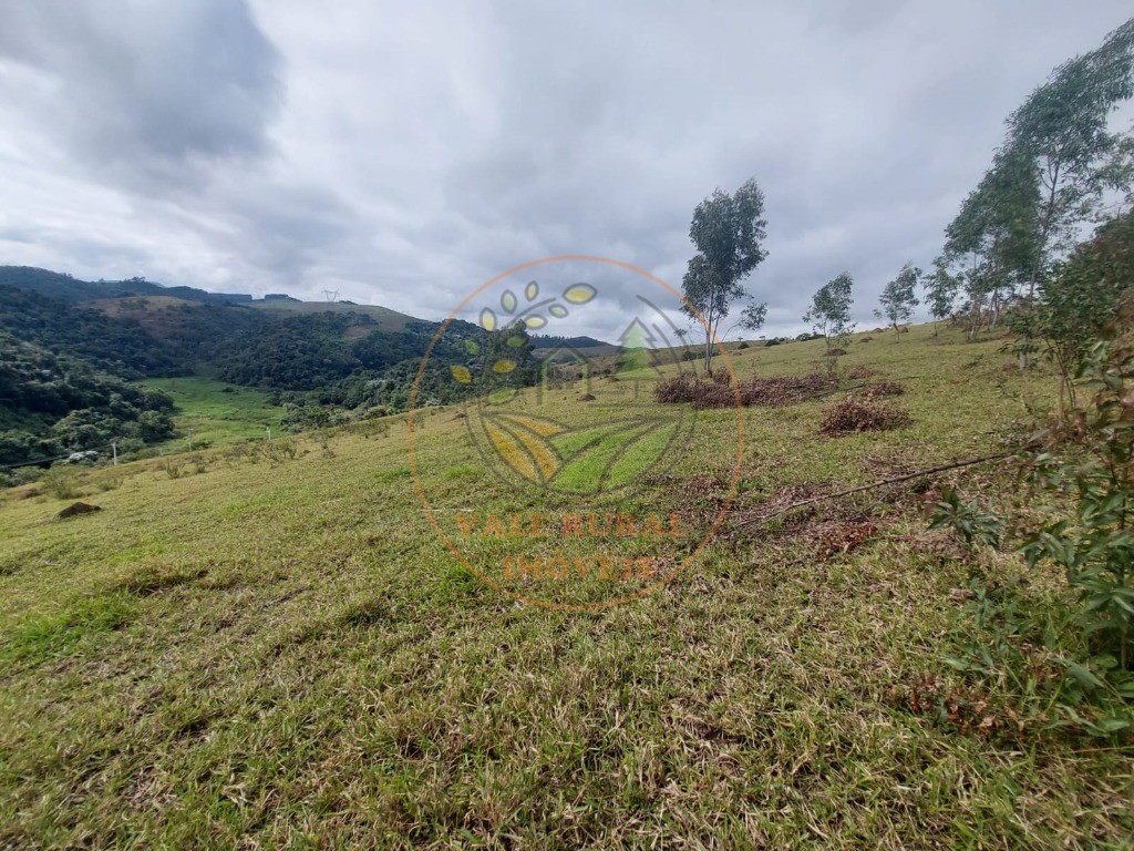 Haras e Área Rural Padrão à venda, 5m² - Foto 1