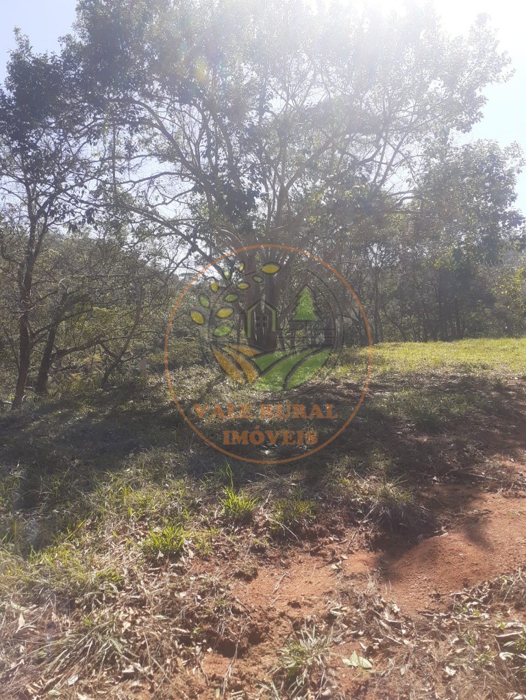 Fazenda, 2 hectares - Foto 10