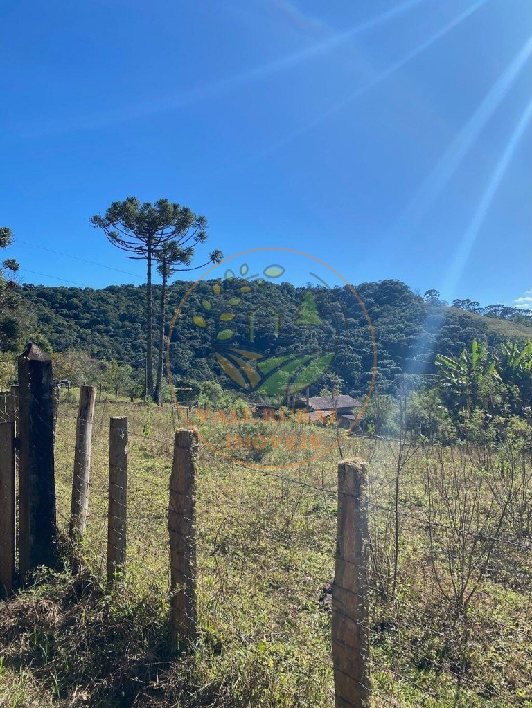 Haras e Área Rural Padrão à venda, 46000m² - Foto 4