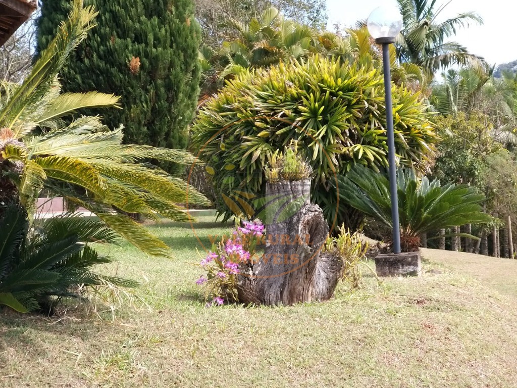 Chácara à venda com 3 quartos, 10000m² - Foto 36