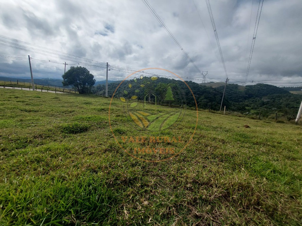 Haras e Área Rural Padrão à venda, 5m² - Foto 25