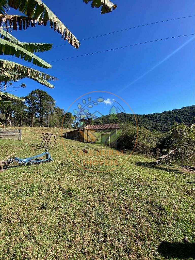 Haras e Área Rural Padrão à venda, 46000m² - Foto 11