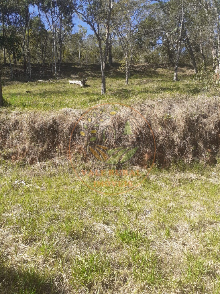 Fazenda, 2 hectares - Foto 4