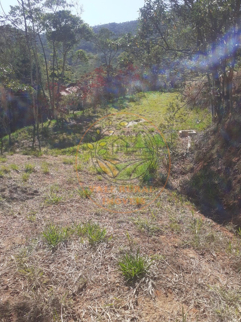 Fazenda, 2 hectares - Foto 11