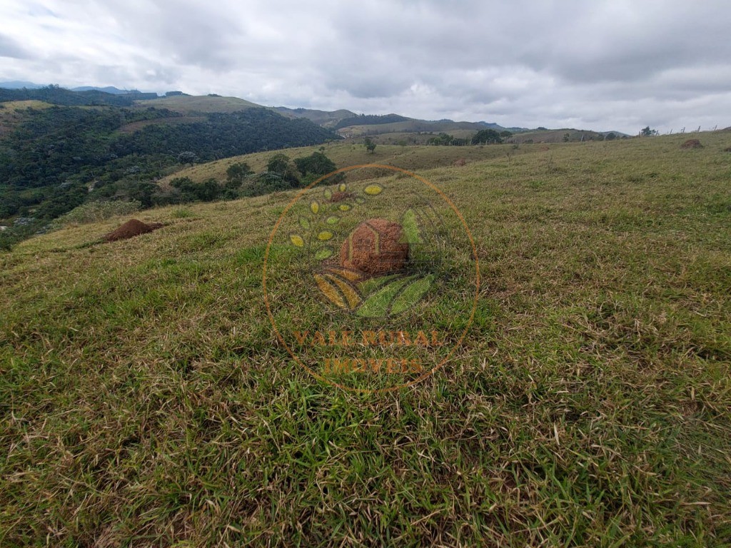 Haras e Área Rural Padrão à venda, 5m² - Foto 4