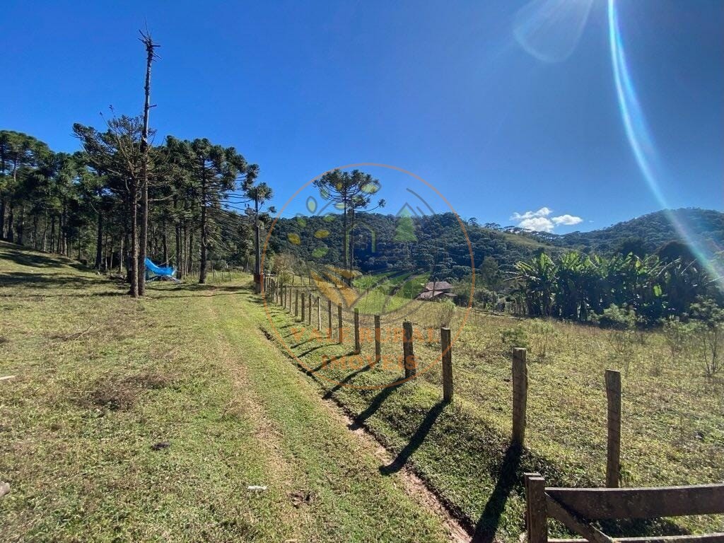 Haras e Área Rural Padrão à venda, 46000m² - Foto 7