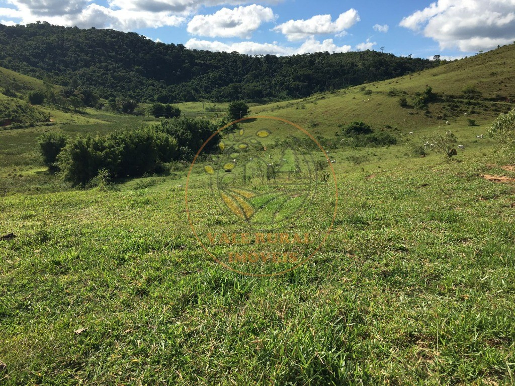 Fazenda à venda com 3 quartos, 82m² - Foto 6