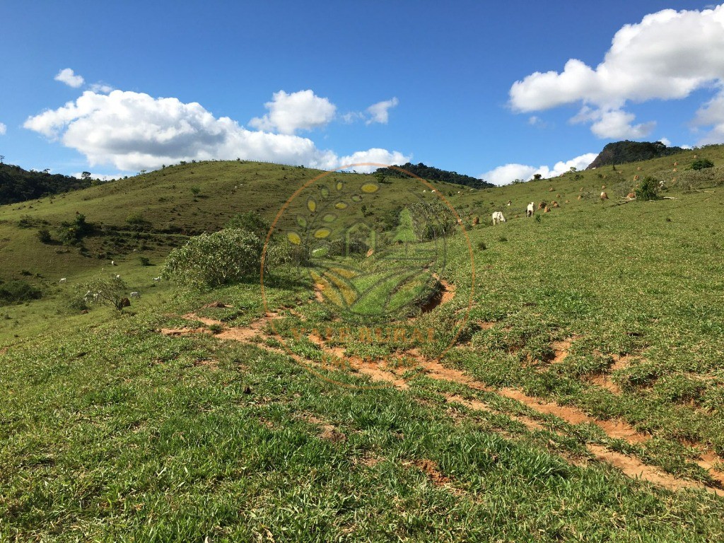 Fazenda à venda com 3 quartos, 82m² - Foto 8