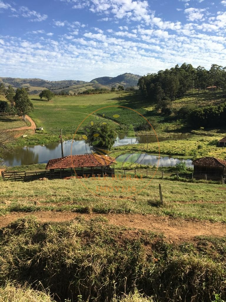 Sítio à venda com 2 quartos, 10m² - Foto 7