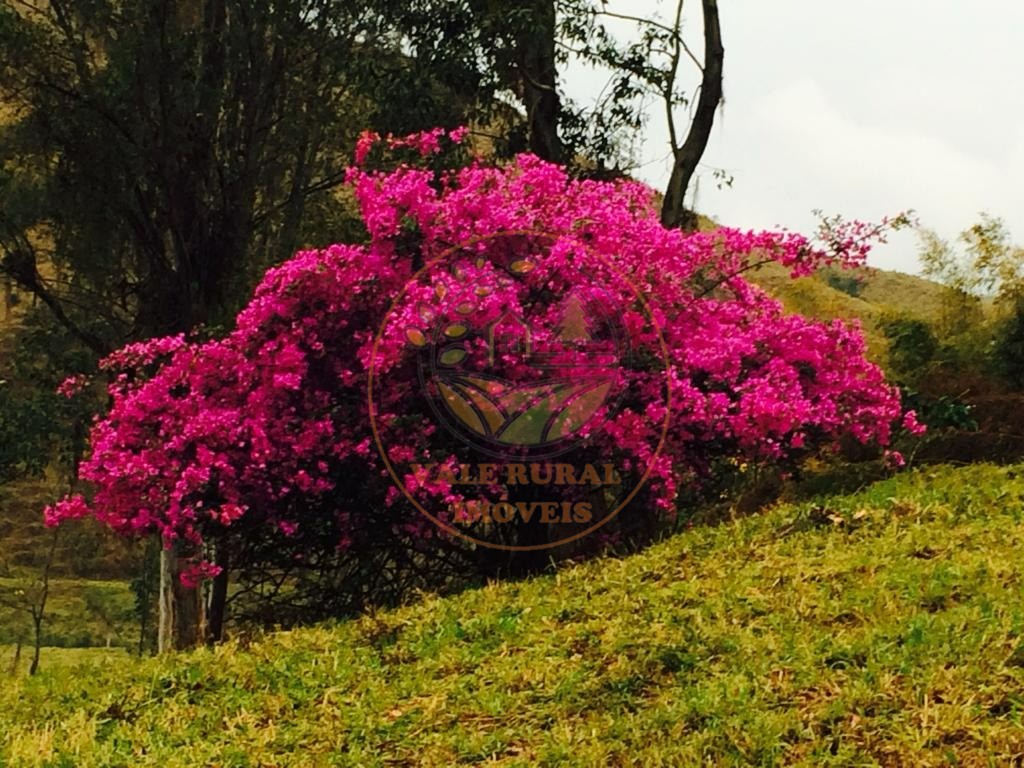 Fazenda à venda com 8 quartos, 114m² - Foto 20