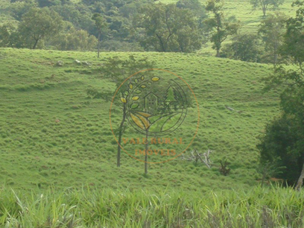 Fazenda à venda com 3 quartos, 607m² - Foto 5