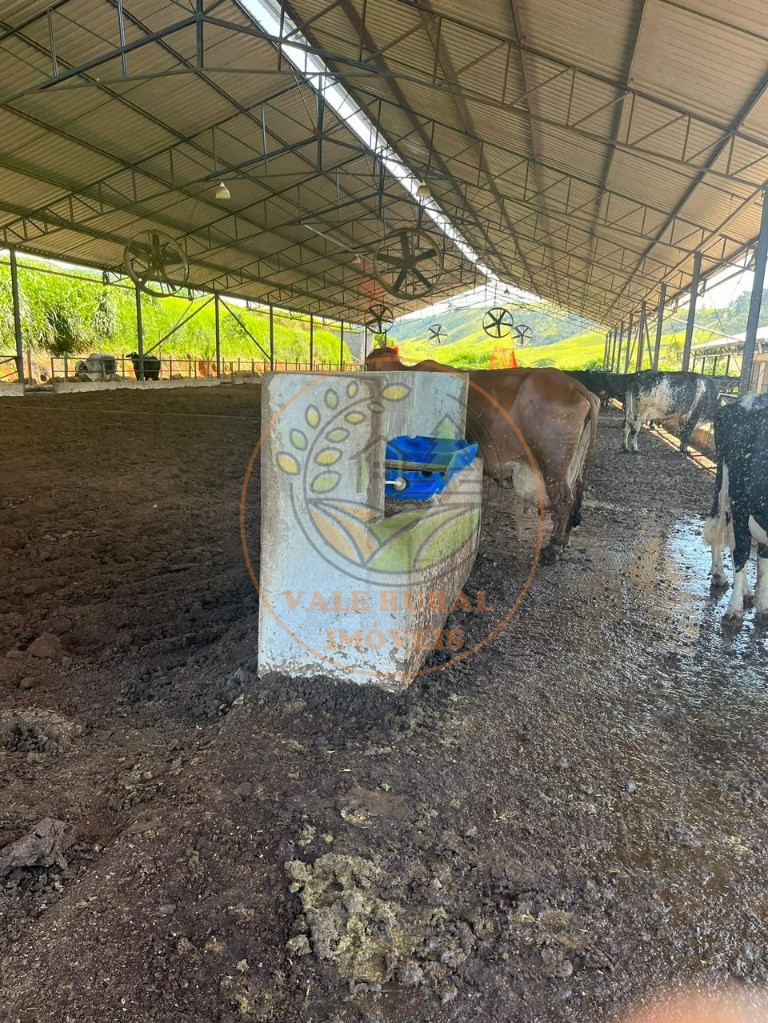 Fazenda à venda com 8 quartos, 114m² - Foto 8