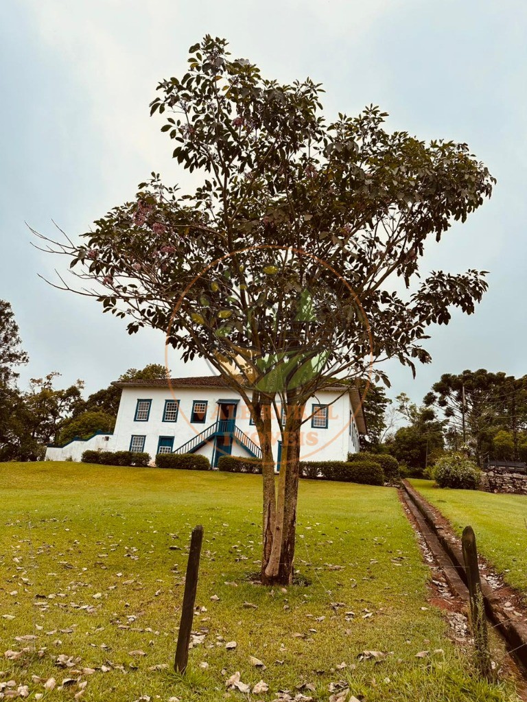 Fazenda à venda com 8 quartos, 114m² - Foto 1