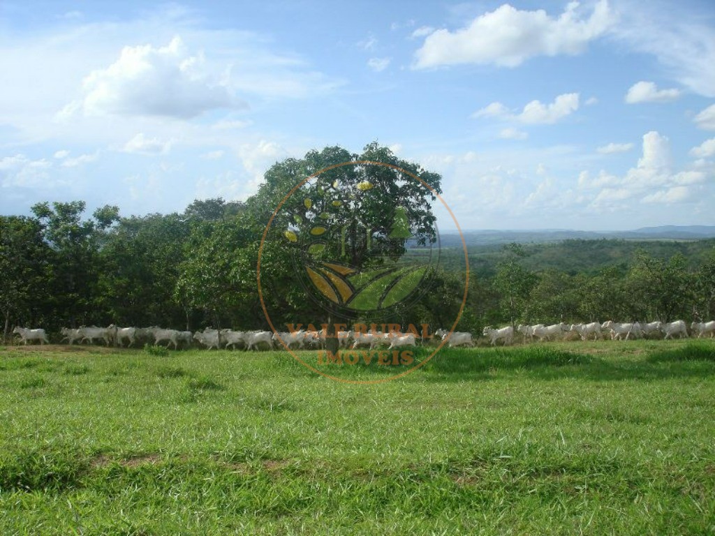 Fazenda à venda com 3 quartos, 607m² - Foto 6