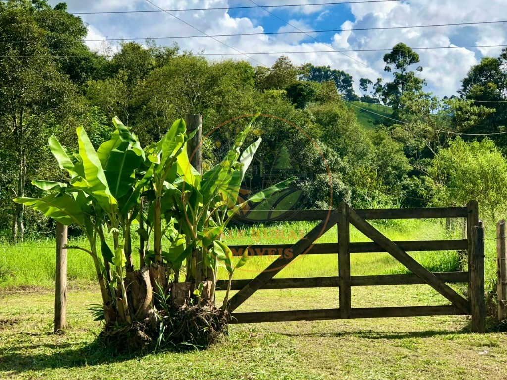 Chácara à venda com 2 quartos, 20000m² - Foto 19