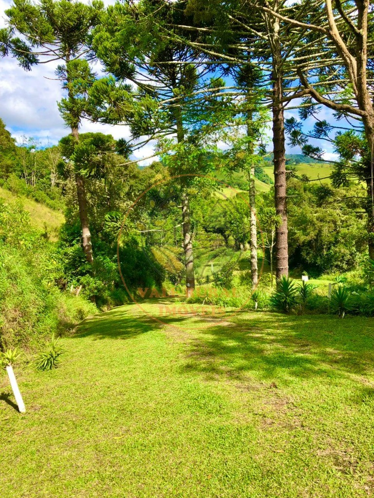 Chácara à venda com 2 quartos, 20000m² - Foto 14