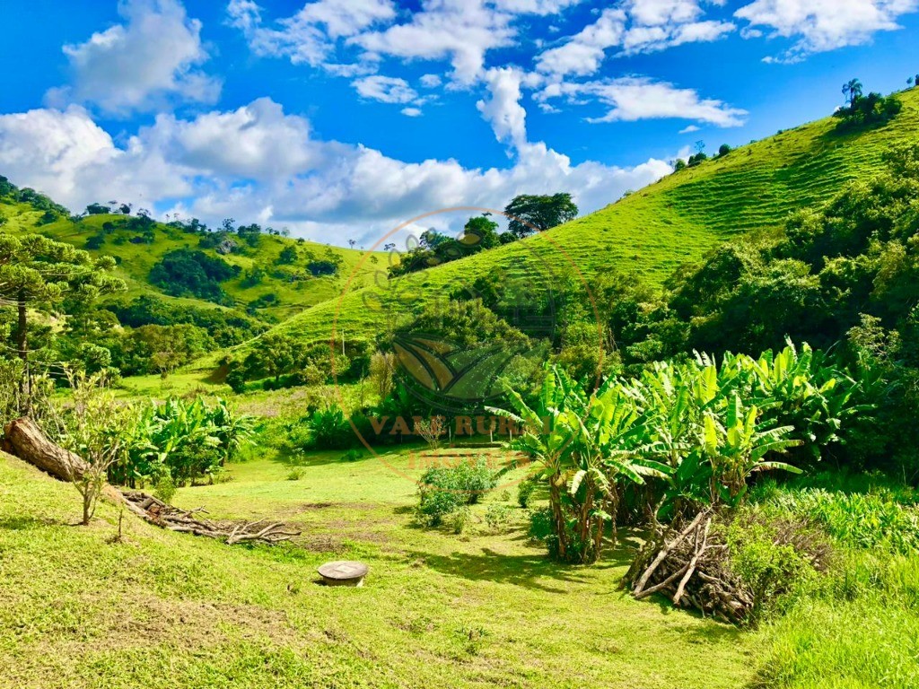 Chácara à venda com 2 quartos, 20000m² - Foto 17