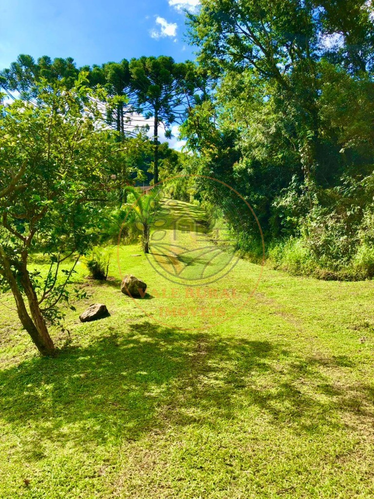 Chácara à venda com 2 quartos, 20000m² - Foto 21