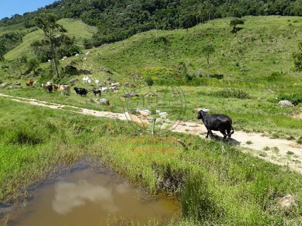 Fazenda à venda com 2 quartos, 25m² - Foto 1