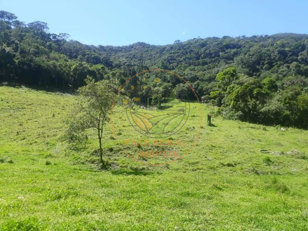 Fazenda à venda com 2 quartos, 25m² - Foto 13