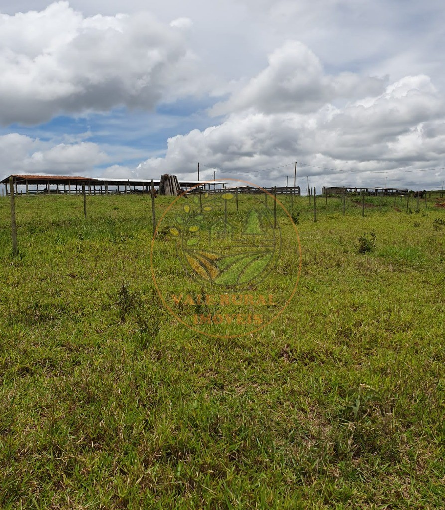 Fazenda à venda - Foto 4