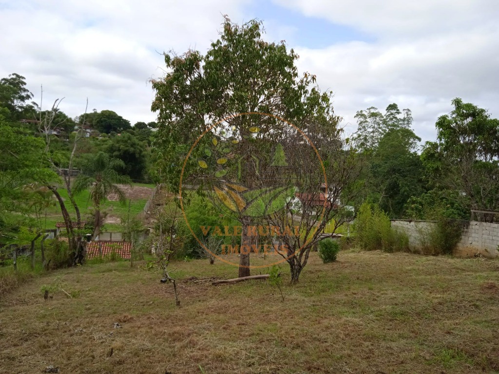 Chácara à venda com 2 quartos, 1100m² - Foto 10