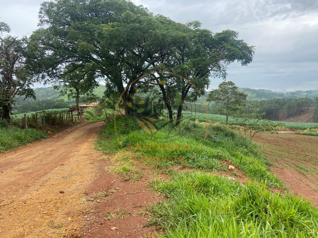 Fazenda à venda com 2 quartos, 47m² - Foto 23