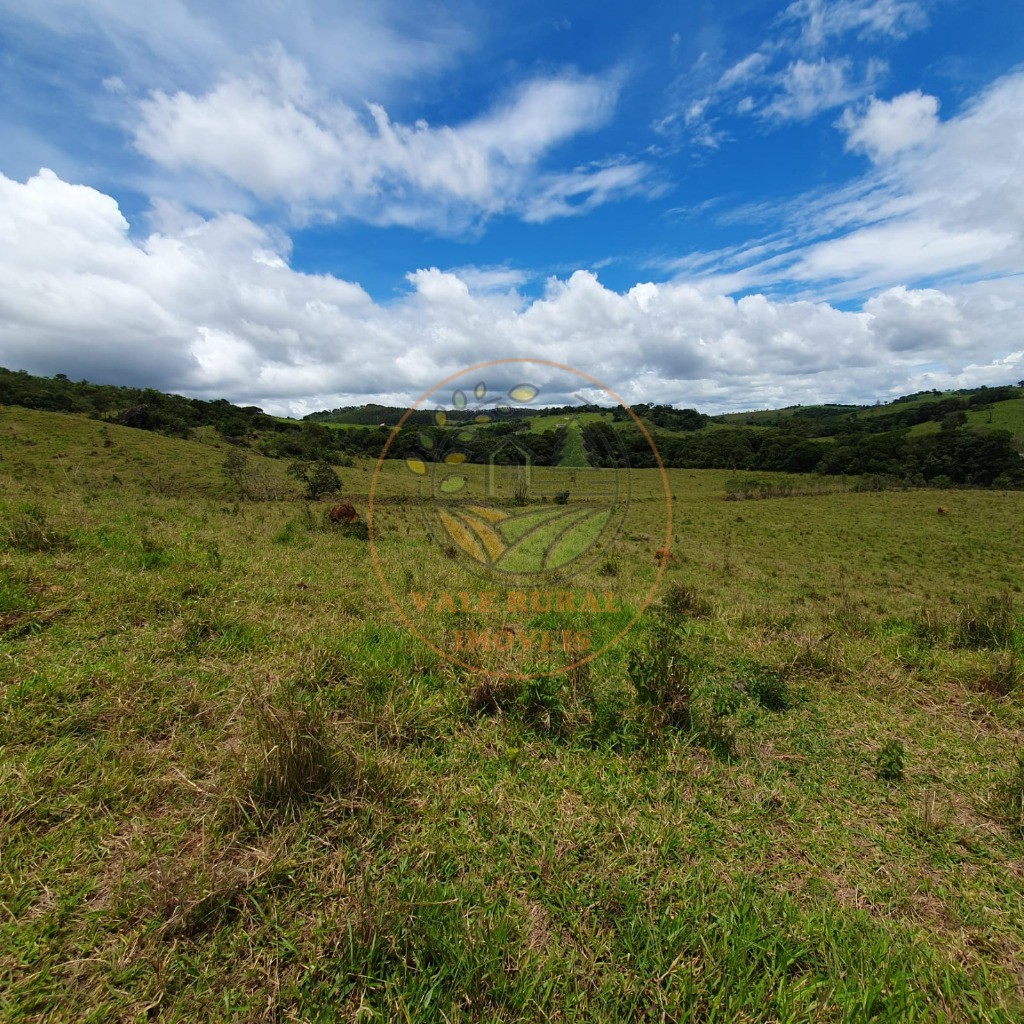 Fazenda à venda - Foto 14