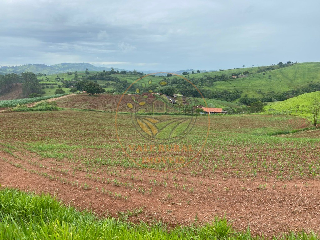 Fazenda à venda com 2 quartos, 47m² - Foto 18