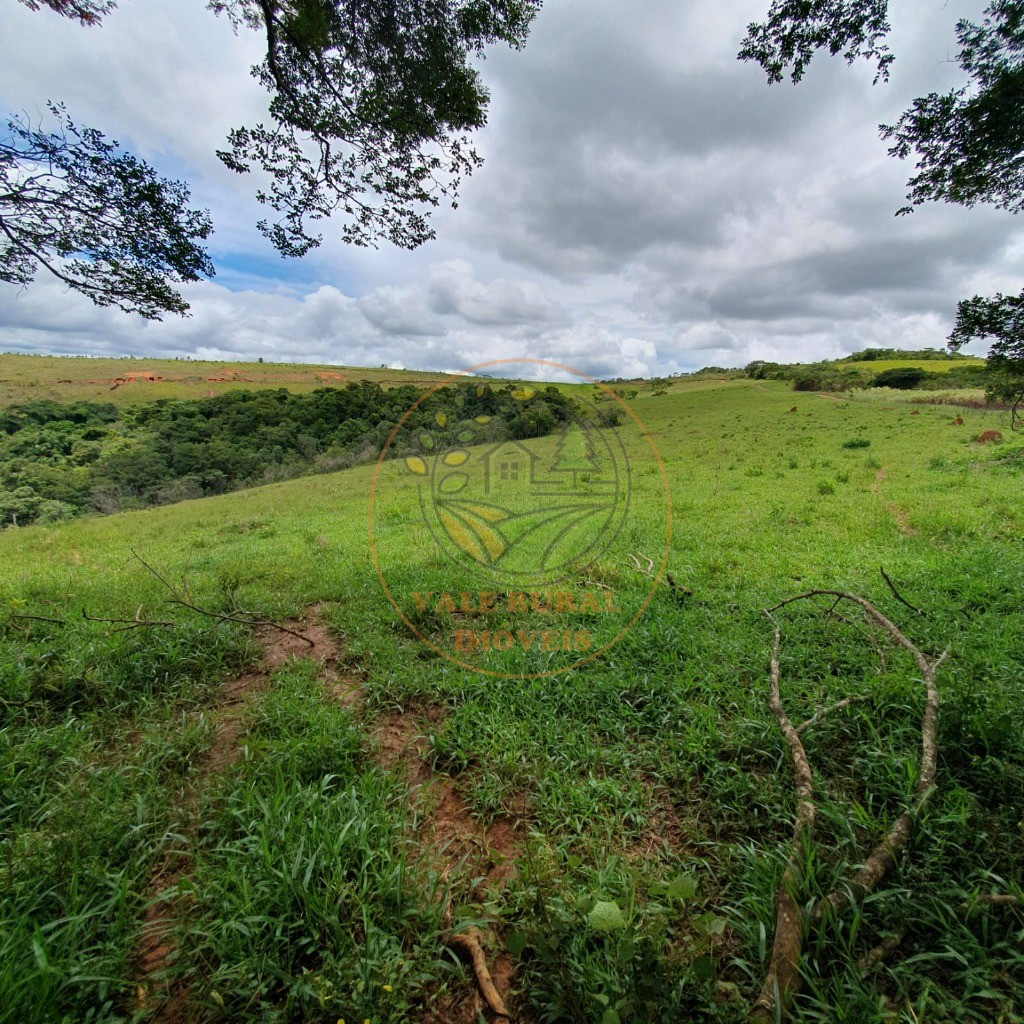 Fazenda à venda - Foto 18