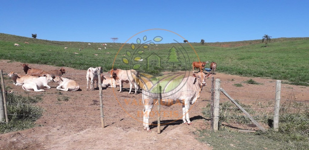 Fazenda à venda com 2 quartos, 84m² - Foto 30